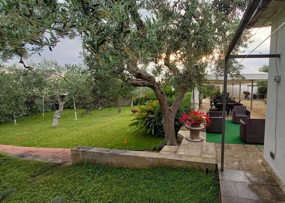 מודוניו Countryhouse Gli Ulivi מראה חיצוני תמונה