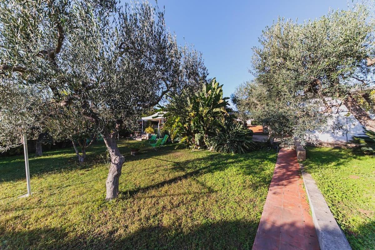 מודוניו Countryhouse Gli Ulivi מראה חיצוני תמונה